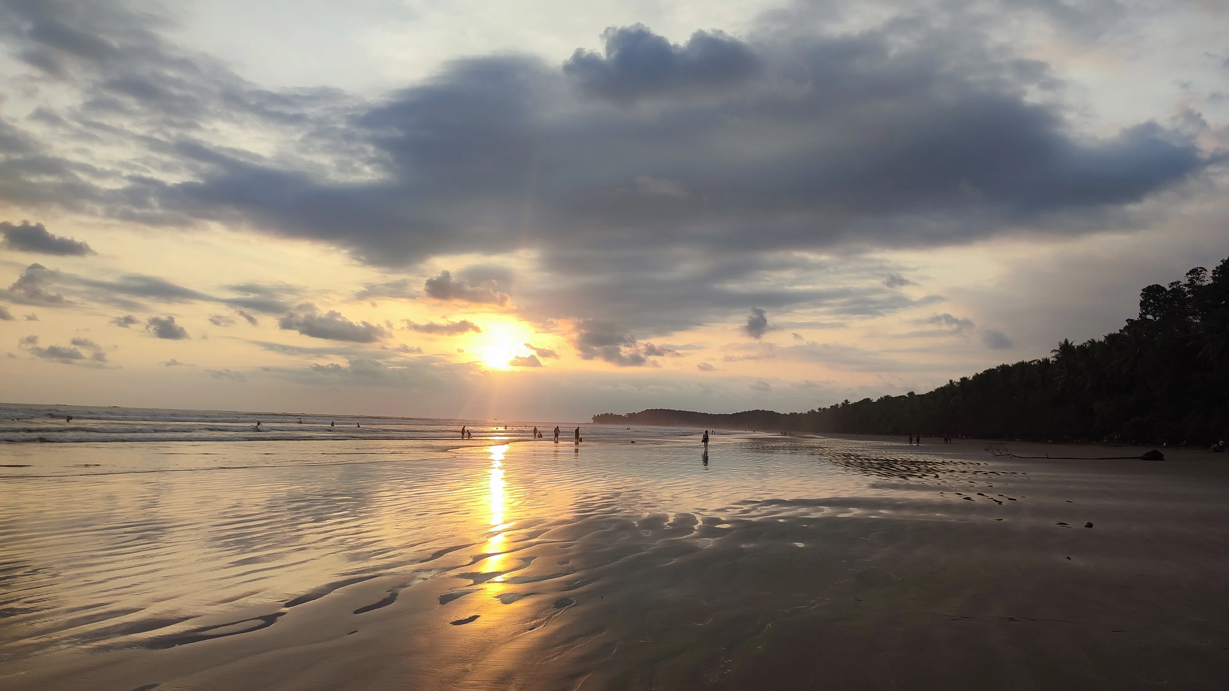 Beach & Surf Experience