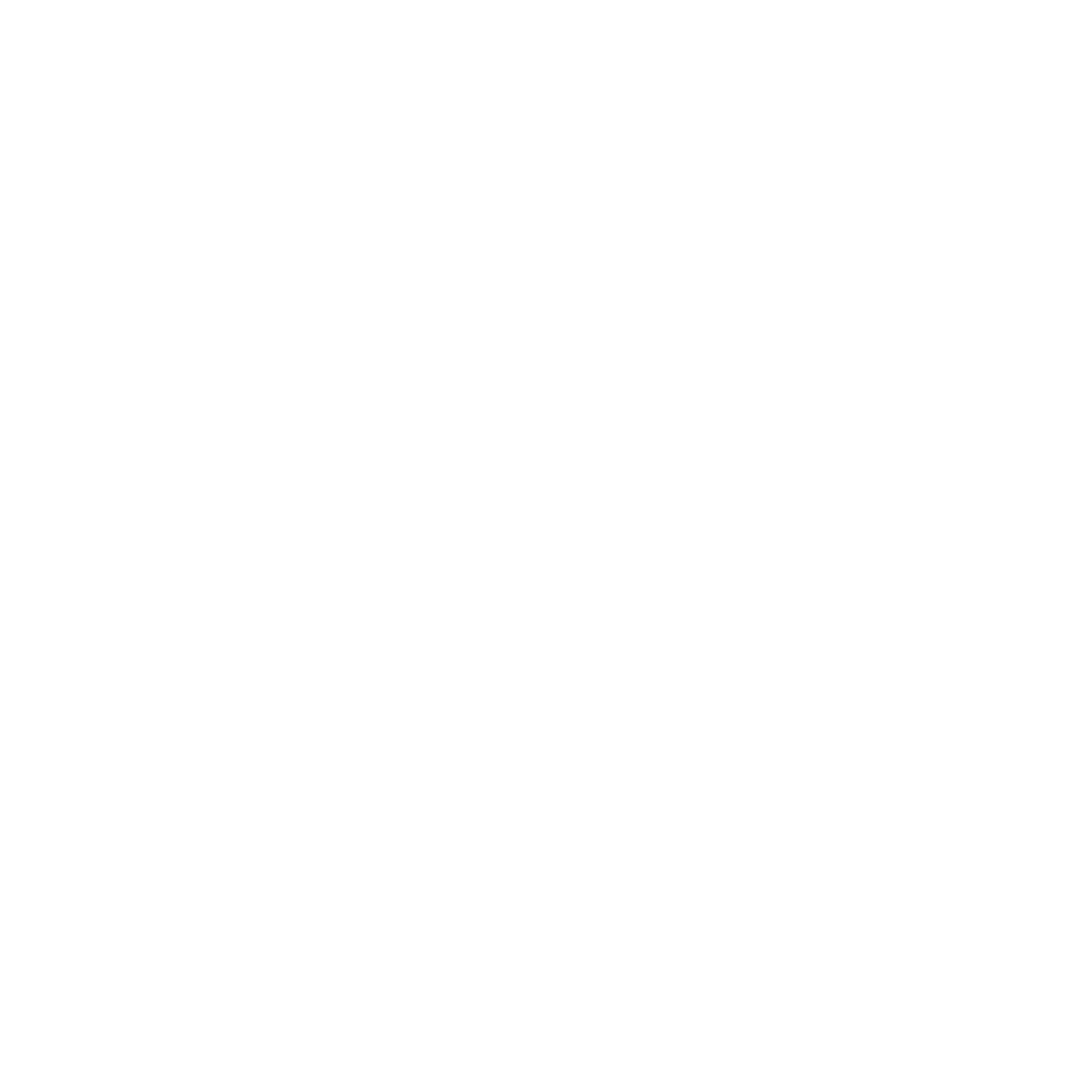 Toucan Adventures Logo